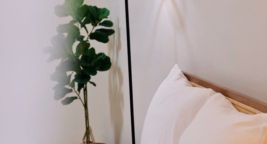 For rent studio condo in Mueang Chiang Mai, Chiang Mai