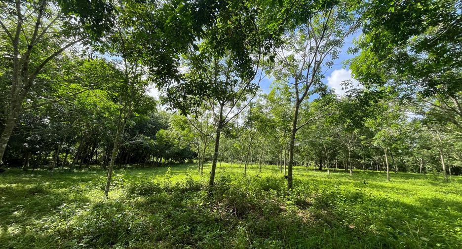 Grundstück zum Kauf in Thai Mueang, Phang Nga