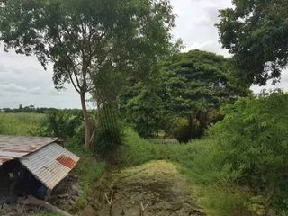 For sale land in Maha Rat, Phra Nakhon Si Ayutthaya
