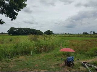 For sale land in Maha Rat, Phra Nakhon Si Ayutthaya