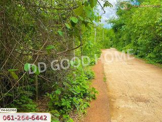 For sale land in Mueang Lampang, Lampang