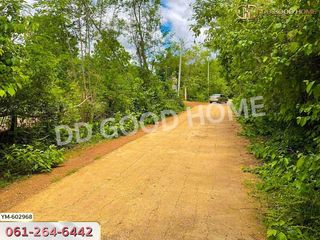 For sale land in Mueang Lampang, Lampang