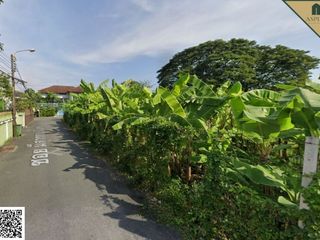 出租 和 出售 土地 在 Watthana, 曼谷
