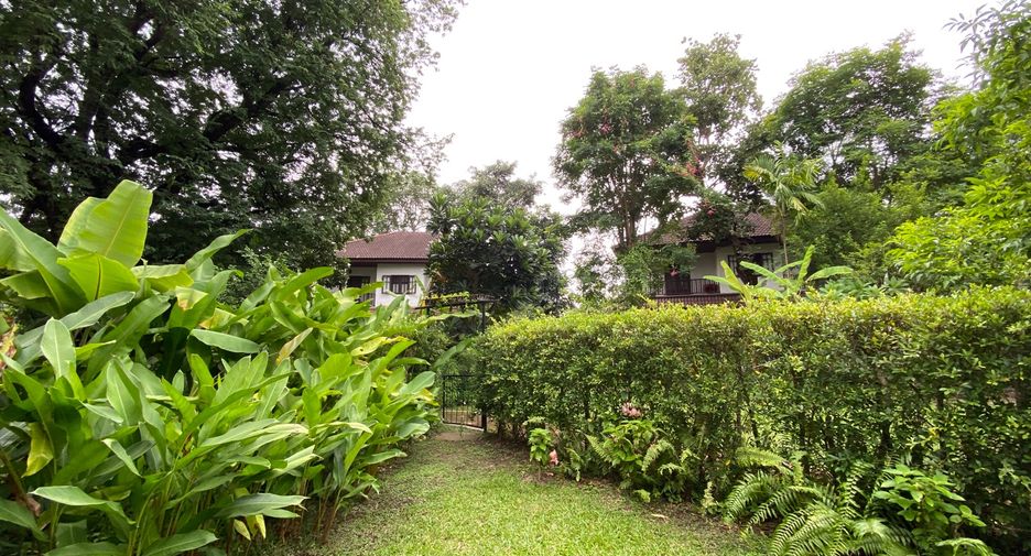 For rent 3 bedrooms house in Mueang Chiang Mai, Chiang Mai