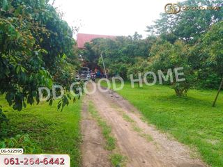 For sale land in Chiang Dao, Chiang Mai