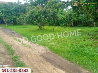 For sale land in Chiang Dao, Chiang Mai