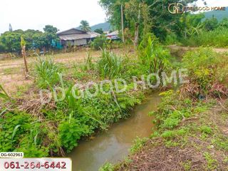For sale land in Chiang Dao, Chiang Mai