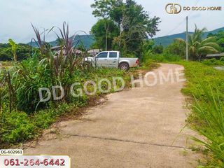 For sale land in Chiang Dao, Chiang Mai