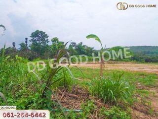 For sale land in Chiang Dao, Chiang Mai