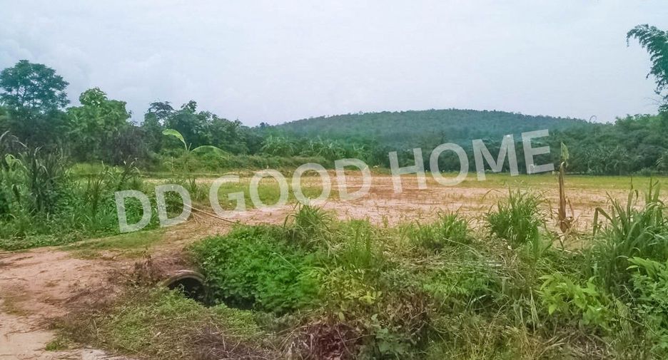 For sale land in Chiang Dao, Chiang Mai