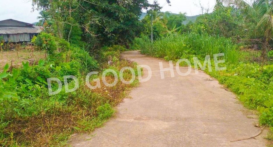 For sale land in Chiang Dao, Chiang Mai