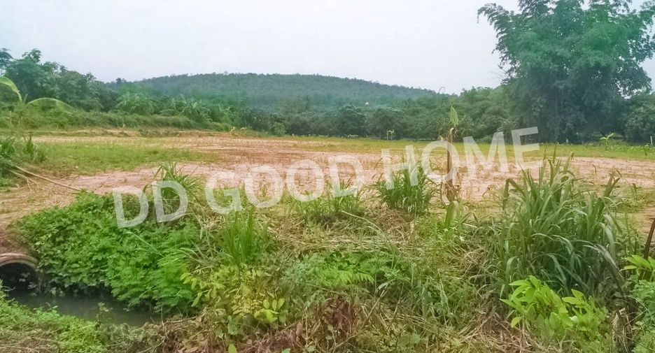 For sale land in Chiang Dao, Chiang Mai