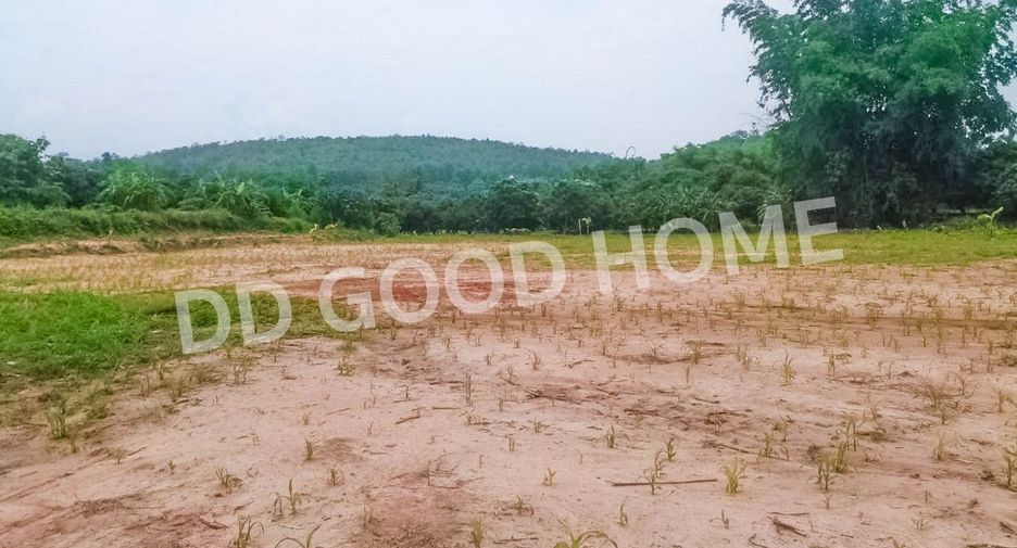For sale land in Chiang Dao, Chiang Mai