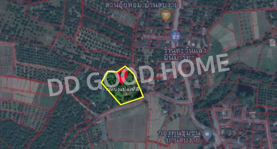 For sale land in Chiang Dao, Chiang Mai