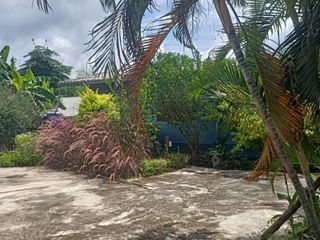 For sale 3 Beds house in Pai, Mae Hong Son