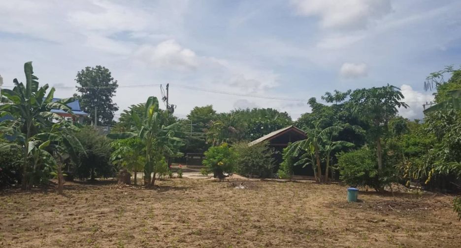 For sale 3 bedrooms house in Pai, Mae Hong Son