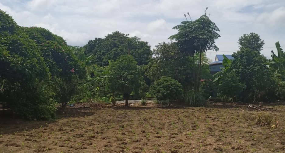 For sale 3 bedrooms house in Pai, Mae Hong Son