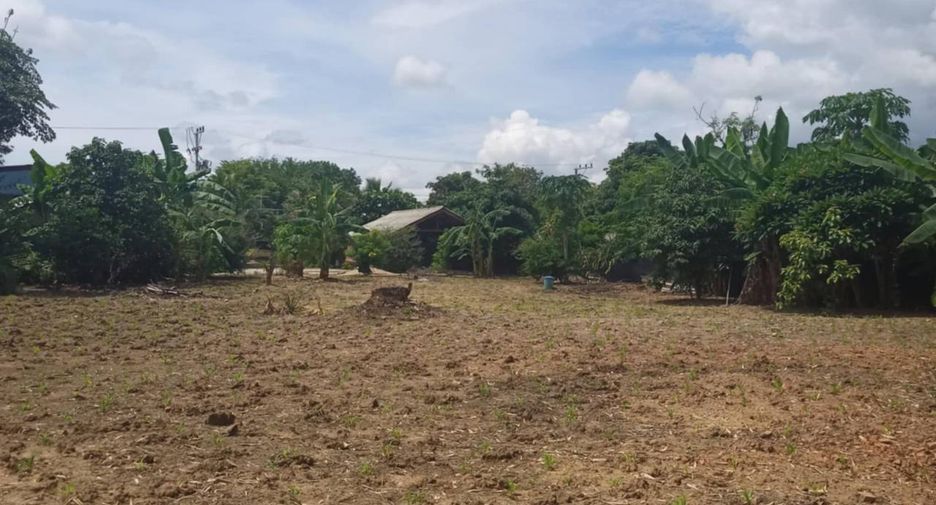 For sale 3 bedrooms house in Pai, Mae Hong Son