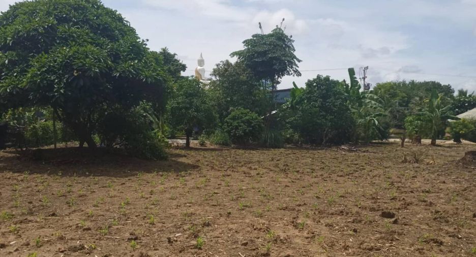 For sale 3 bedrooms house in Pai, Mae Hong Son