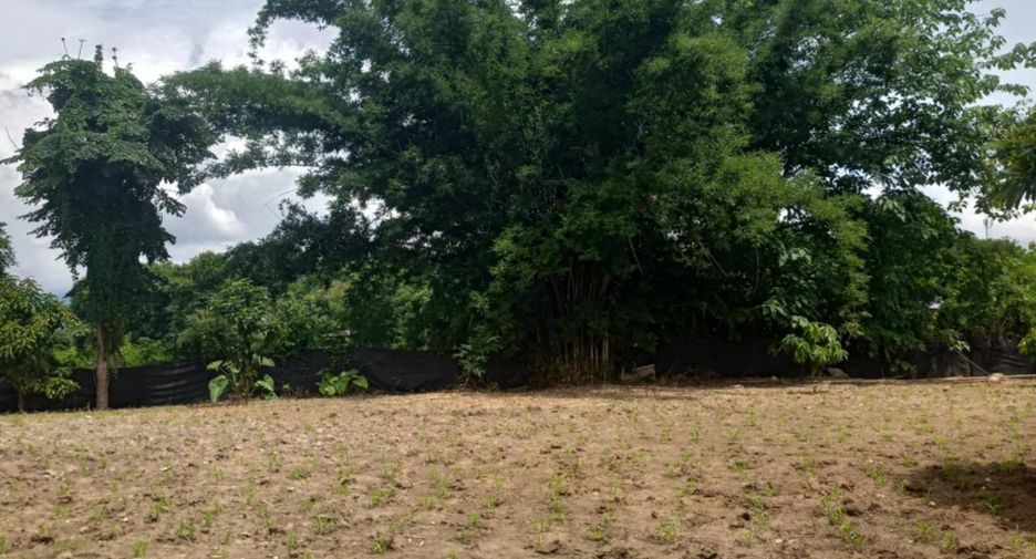 For sale 3 bedrooms house in Pai, Mae Hong Son