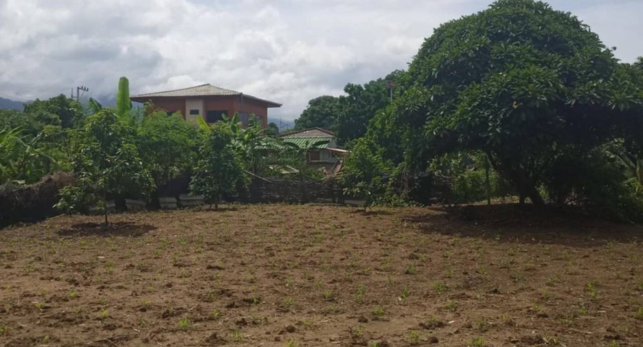 For sale 3 bedrooms house in Pai, Mae Hong Son