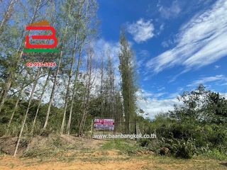 出售 土地 在 Suan Phueng, Ratchaburi