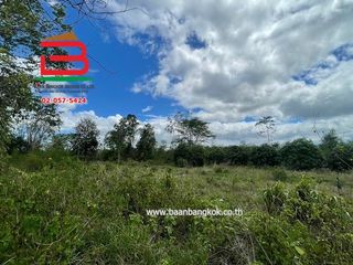 出售 土地 在 Suan Phueng, Ratchaburi