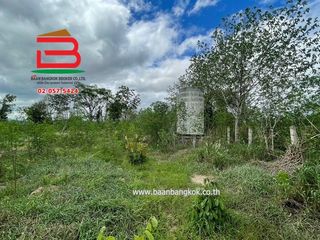 出售 土地 在 Suan Phueng, Ratchaburi