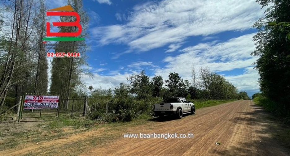 For sale land in Suan Phueng, Ratchaburi