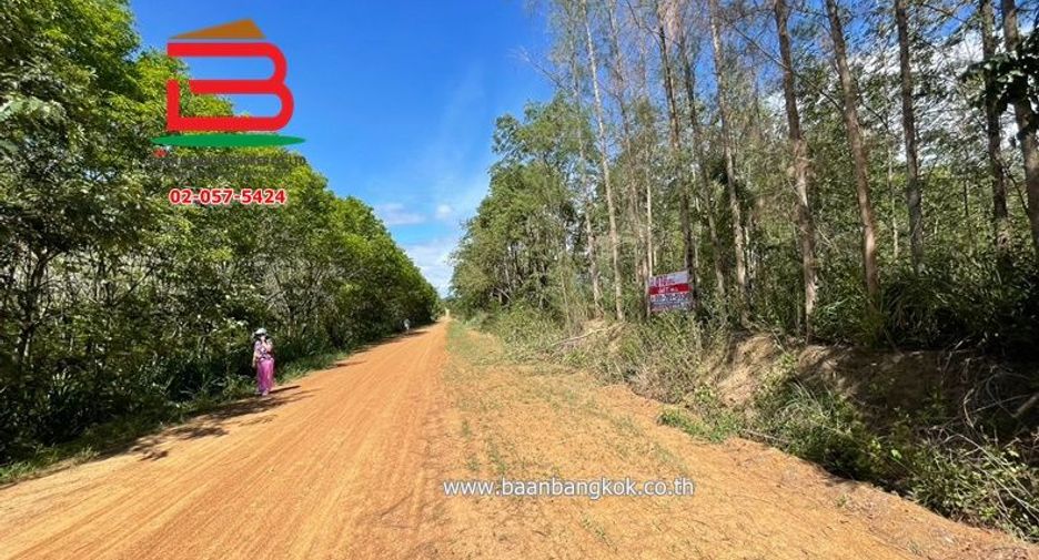 For sale land in Suan Phueng, Ratchaburi