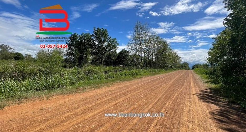 For sale land in Suan Phueng, Ratchaburi