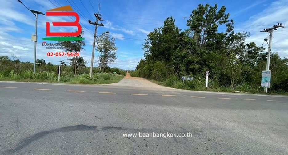 For sale land in Suan Phueng, Ratchaburi