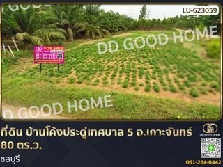 For sale land in Ko Chan, Chonburi