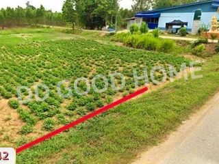 For sale land in Ko Chan, Chonburi