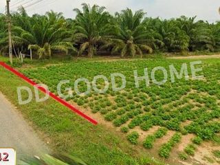 For sale land in Ko Chan, Chonburi