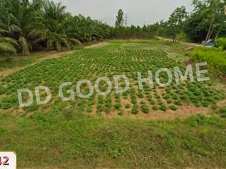 For sale land in Ko Chan, Chonburi