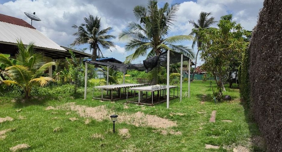 For sale land in Amphawa, Samut Songkhram
