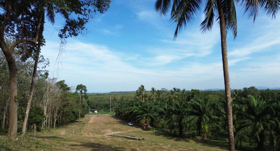 For sale 3 Beds villa in Takua Pa, Phang Nga