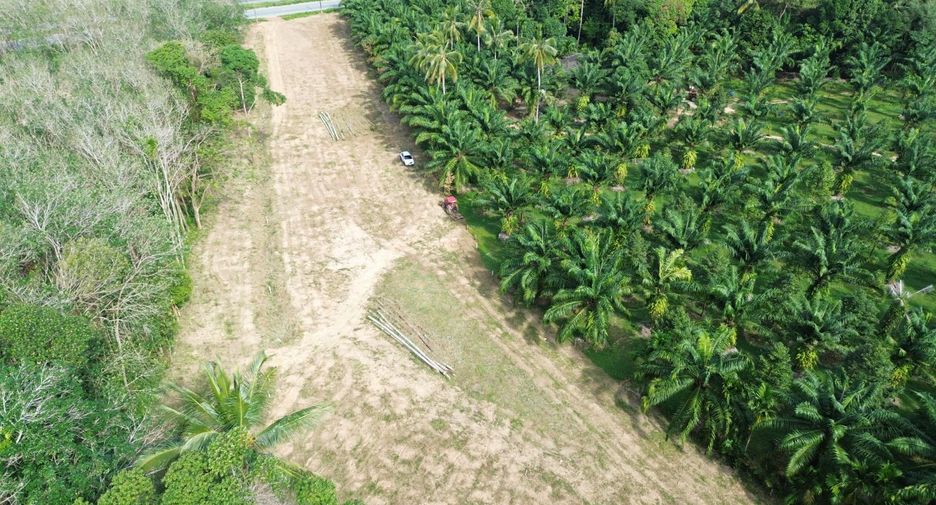 For sale 3 Beds villa in Takua Pa, Phang Nga