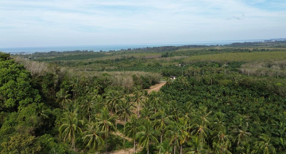 For sale 3 Beds villa in Takua Pa, Phang Nga