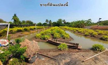 For sale land in Ban Bueng, Chonburi