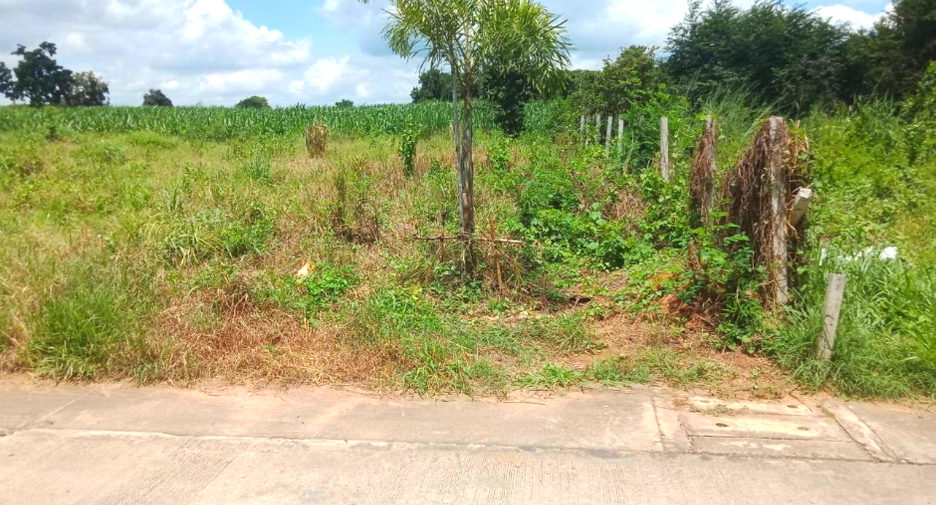 Grundstück zum Kauf in Sikhio, Nakhon Ratchasima