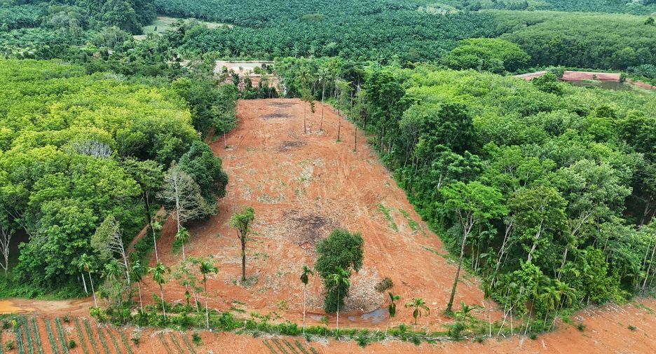 À vendre terrain à Mueang Krabi, Krabi