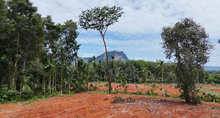 À vendre terrain à Mueang Krabi, Krabi