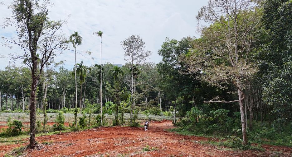 À vendre terrain à Mueang Krabi, Krabi