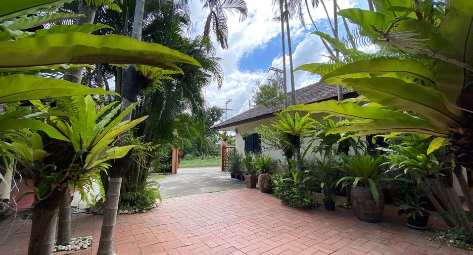 Casa en alquiler y en venta de 5 habitaciones en Doi Saket, Chiang Mai