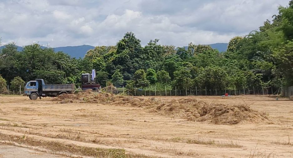 For sale land in San Sai, Chiang Mai