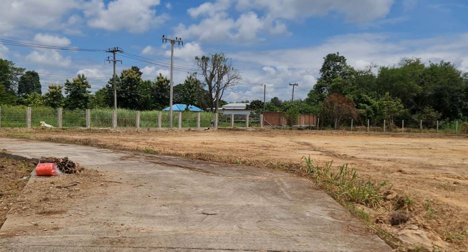 For sale land in San Sai, Chiang Mai