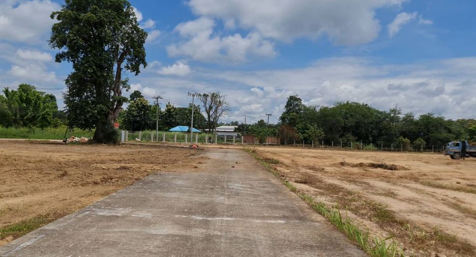 For sale land in San Sai, Chiang Mai