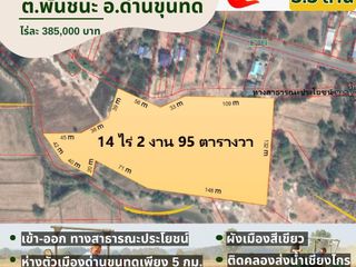 For sale land in Dan Khun Thot, Nakhon Ratchasima